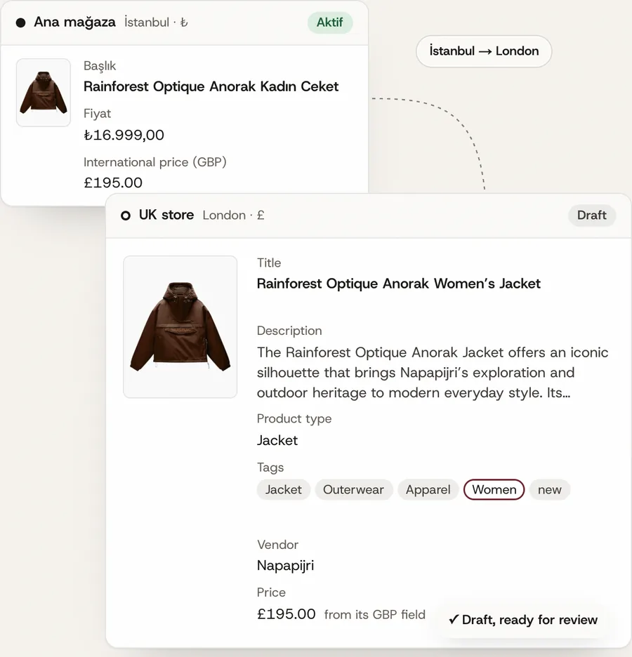 Multi-Store Sync & Translation